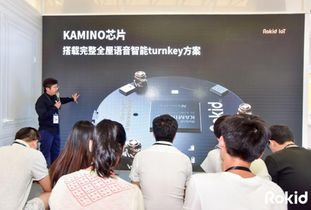 Rokid引領(lǐng)全屋智能語(yǔ)音化新紀(jì)元 AI人工智能產(chǎn)品技術(shù)的創(chuàng)新開(kāi)發(fā)與應(yīng)用